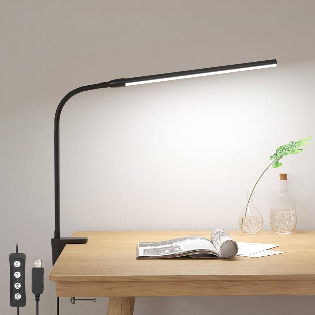 LED Desk Lamp with Clamp
