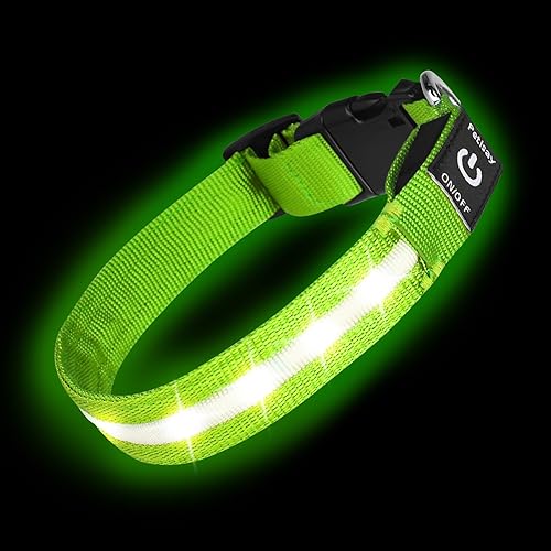LED light up dog collar