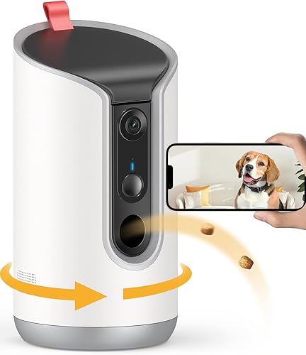 Pet camera with treat dispenser